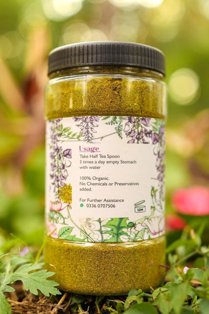 Weightloss Solution (2 Months Plan)